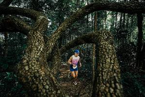 BIB: 
                            <button type="button" onclick="openModal(25665549)" class="btn btn-primary btn-sm float-right btn-popup" data-toggle="modal" data-target=".modal-high-quality">
                        <i class="fas fa-shopping-cart"></i> Add to Cart
                    </button>
                                            <button type="button" onclick="isThisMe(25665549, true)" class="btn btn-success btn-sm float-right btn-popup btn-isme hidden" data-toggle="tooltip" data-placement="bottom" title="นี่คือรูปของคุณใช่ไหม คลิกที่นี่เพื่อเอาเข้าอัลบั้ม">
                        <i class="fas fa-plus"></i> Add to album
                    </button>
                    <button type="button" onclick="isThisMe(25665549, false)" class="btn btn-warning btn-sm float-right btn-popup btn-isnotme hidden">
                        <i class="fas fa-ban"></i> Remove from album
                    </button>